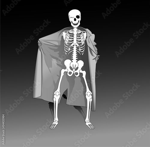 Photographie Squelette exhibitionniste Halloween