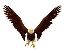 Wide Eagle Frontal Landing