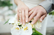 Bride And Groom Hands With Wedding Rings