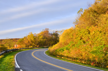 Wall Mural - An asphalt road into forest in autumn foliage - Virginia, United States of America