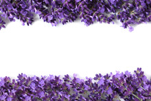 Frame With Lavender