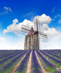 Sticker - Blossoming lavender field with wind mill and beautiful blue sky