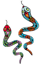 Two Patterned Snakes