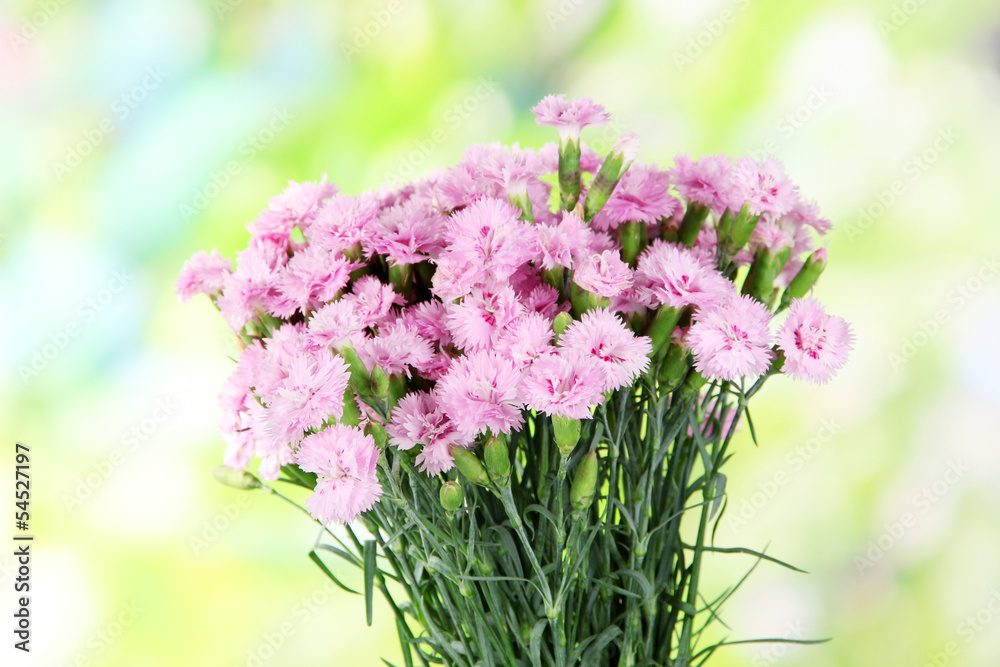 Many small pink cloves on nature background