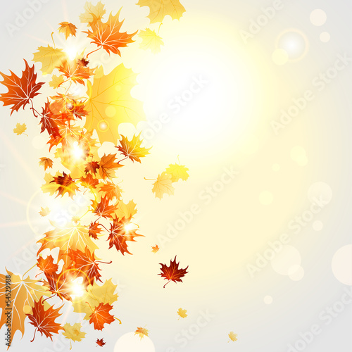 Naklejka na szybę Tło z jesiennych liści w świetle słońca 