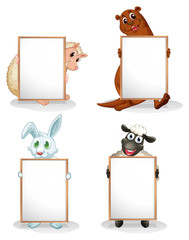 Poster - Four animals with empty whiteboards