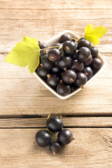 Wall Mural - Black currant