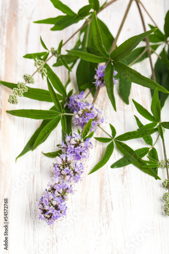 Fototapeta na wymiar Mönchspfeffer (Vitex agnus-castus) - Ausschnitt auf Brett