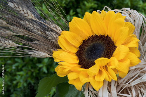 Naklejka na drzwi Girasole in piena estate