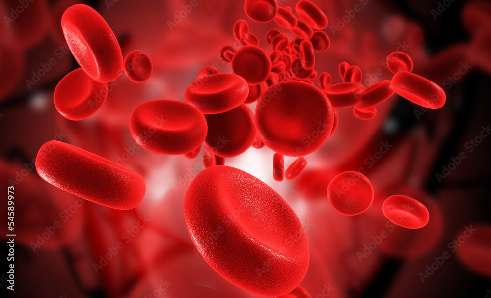 blood cells - obrazy, fototapety, plakaty 