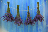 Fototapeta Lawenda - Lavender herbs drying on the wooden barn in the garden