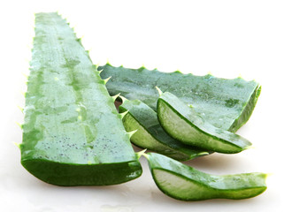 Poster - Aloe vera plant isolated on white