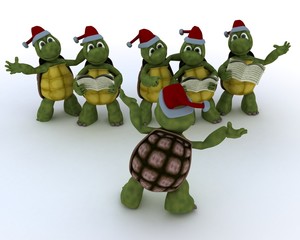 Wall Mural - tortoises singing christmas carols