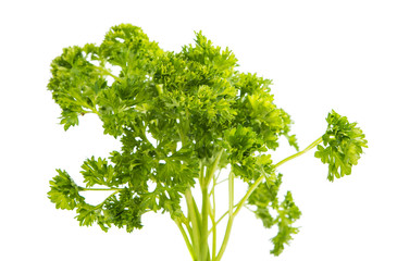 Poster - parsley isolated