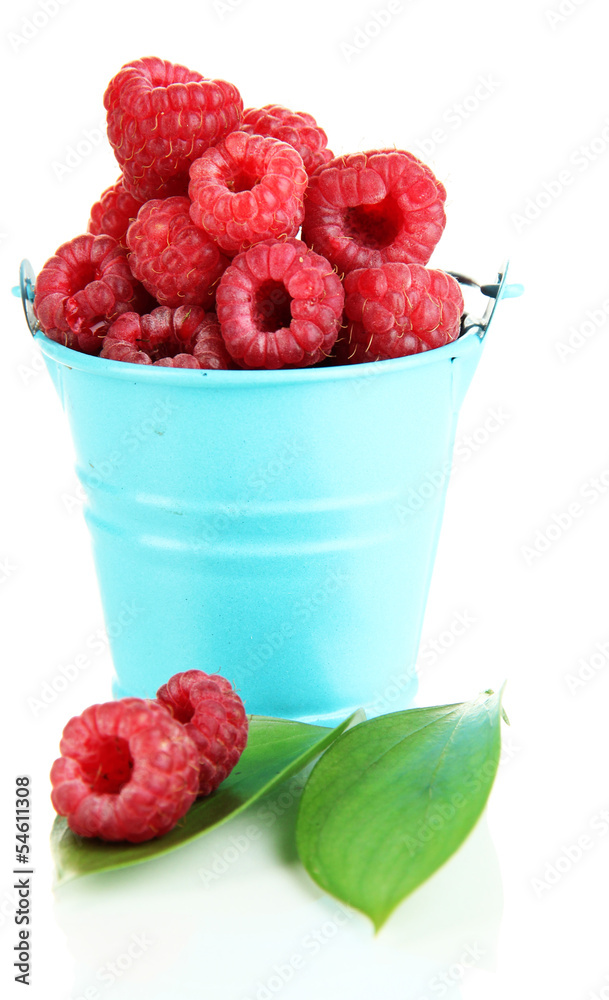 Ripe raspberries in pail isolated on white