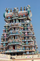 Gopurams of the Meenakshi temple