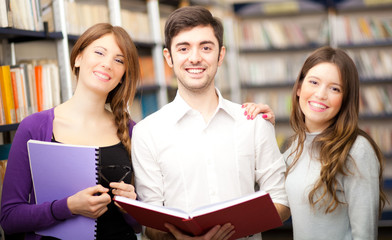 Wall Mural - Students in a library