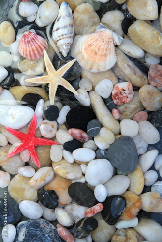 Naklejka na meble Seashell, starfish and colorful pebble stones