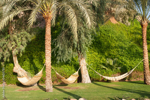 Fototapeta na wymiar Hammocks and palm trees.