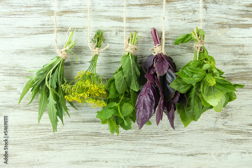 Naklejka - mata magnetyczna na lodówkę Fresh herbs on wooden background