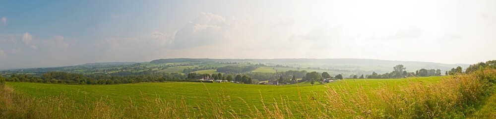 hill landscape with meadow and trees and blue cloudy sky. panora