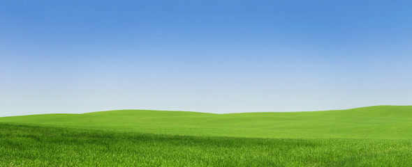 Wall Mural - panoramic view of an empty green field