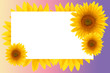 card sunflower frame flower backgrounds sunset