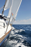Fototapeta  - Sailing