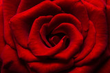 160_f_54740107_gyp1ckotdtqt51njsjxikroz3r5icmnj