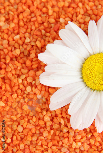 Obraz w ramie Colored decorative sand with flower close-up background