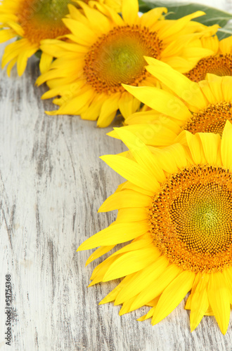 Fototapeta dla dzieci Sunflowers on wooden background