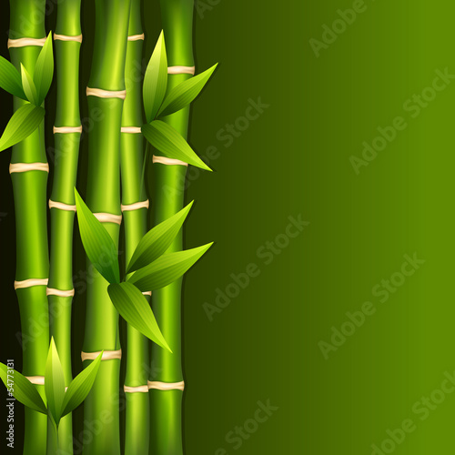 Fototapeta dla dzieci Green bamboo