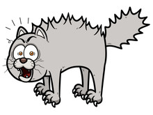 Vector Illustration Of Scared Cartoon Cat