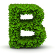 Leaves font letter B
