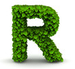 Leaves font letter R