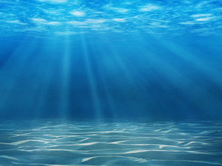 tranquil underwater scene with copy space