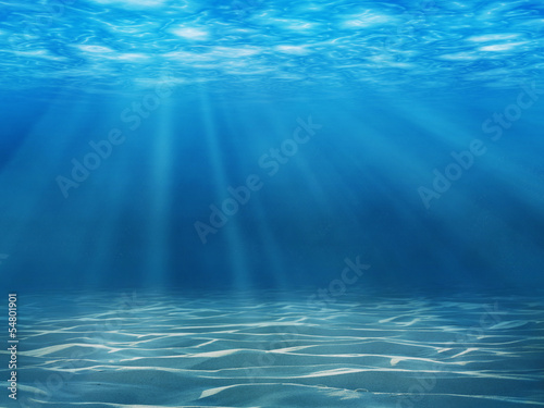Fotografía Tranquil underwater scene with copy space