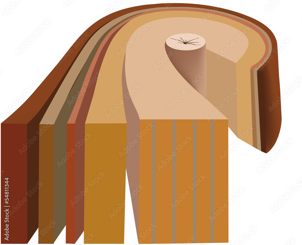 struttura del legno Stock Vector | Adobe Stock, image size:1000x812