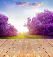Spring Background With Wooden Planks