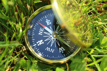 Wall Mural - Golden compass on green grass