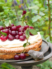 Canvas Print - cherry pie