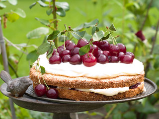 Canvas Print - cherry pie