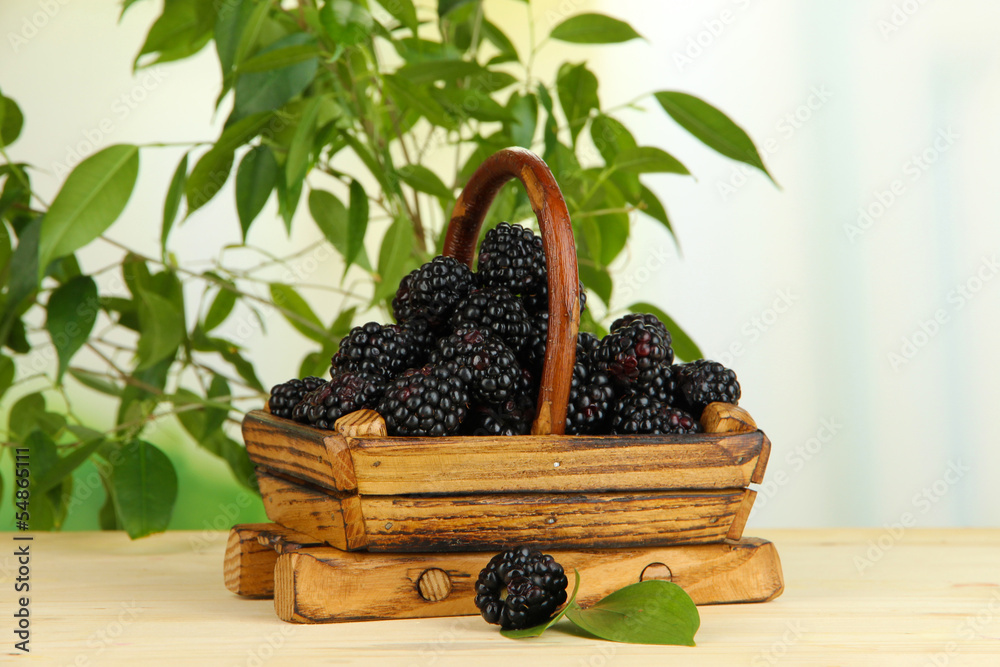 Ripe blackberries in basket