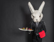 Rabbit waiter man in black suit stay at dark gray background