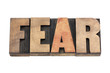 © MarekPhotoDesign.com - fear word in wood type