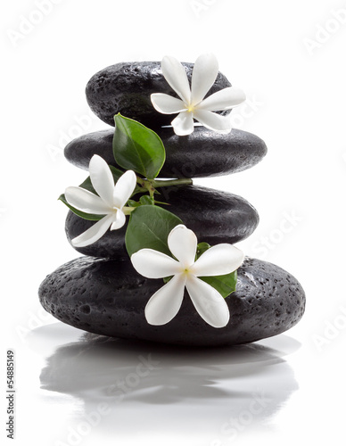 Obraz w ramie tiare flowers and tower black stone spa