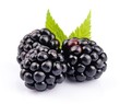 Blackberry fruit with leafs