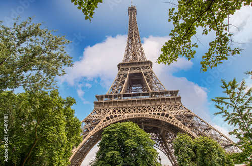 Fototapeta na wymiar Paris. The Eiffel Tower and trees in summer season