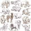 Animals around the world (collection no.1, white )