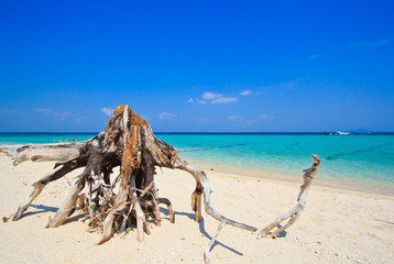 Sea landscape and wood in Thailand